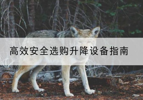 临高升降货梯厂家推荐-*安全选购升降设备指南
