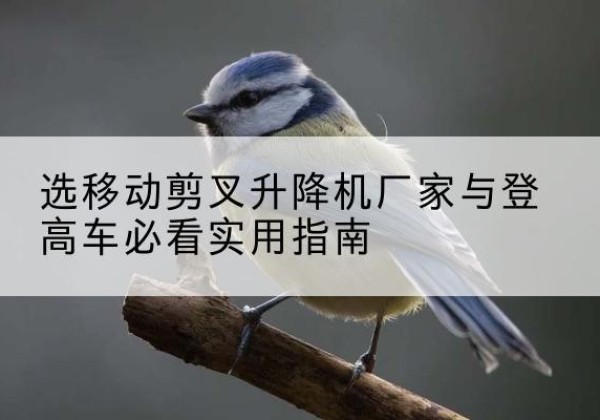 临高电动升降机厂家-选移动剪叉升降机厂家与登高车必看实用指南